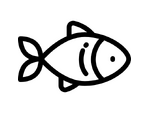 Peixe
