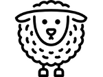 Cordeiro